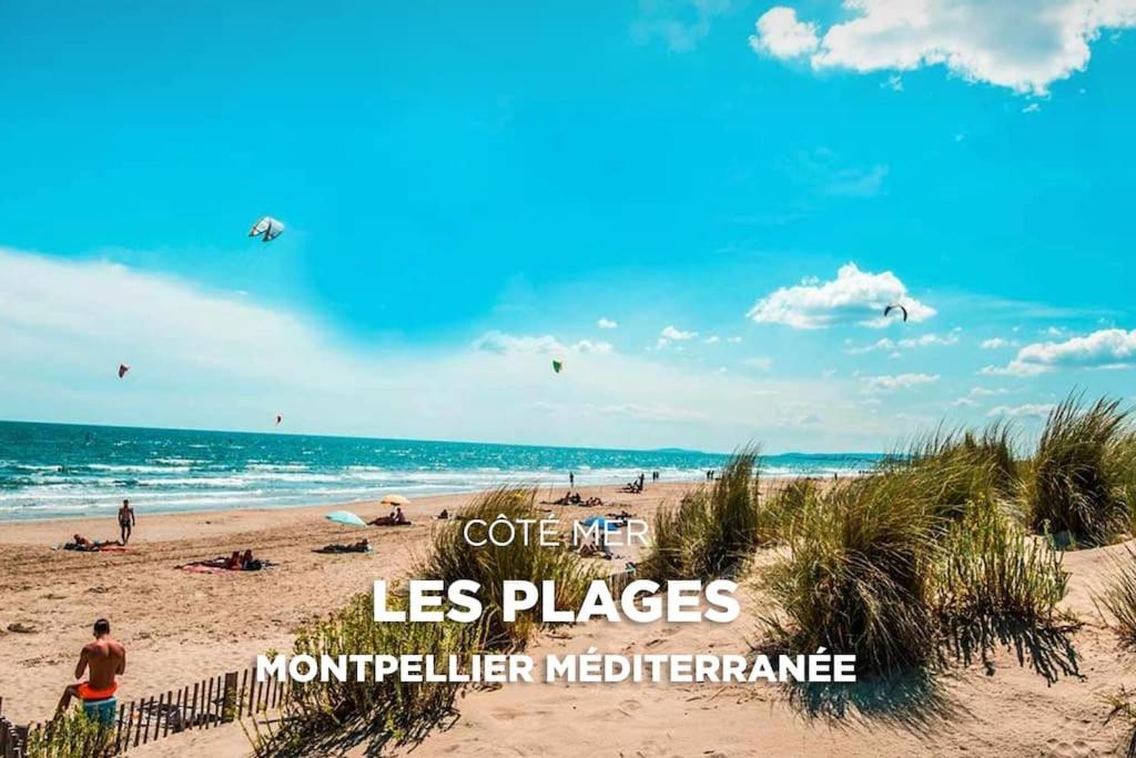Apartment Between City Center And Beachs Montpellier Dış mekan fotoğraf